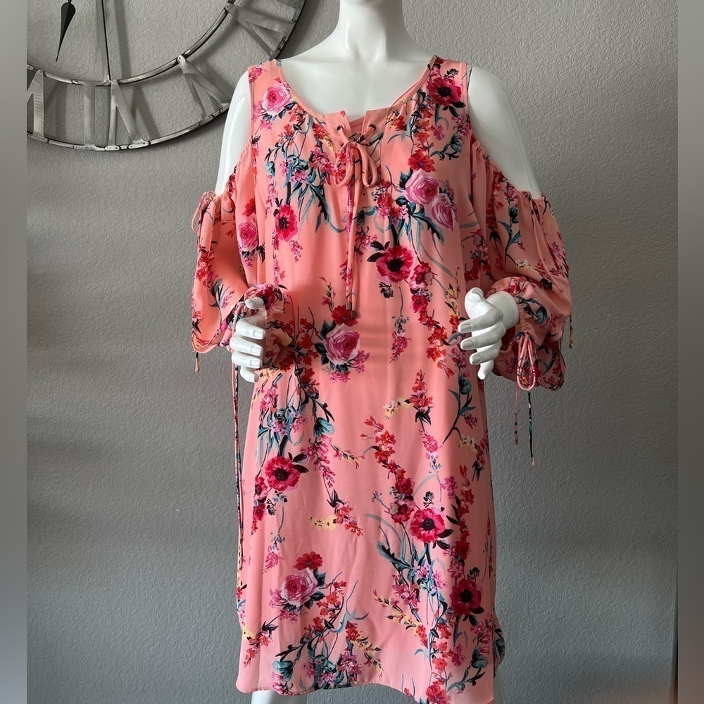Floral pink sheer dress.